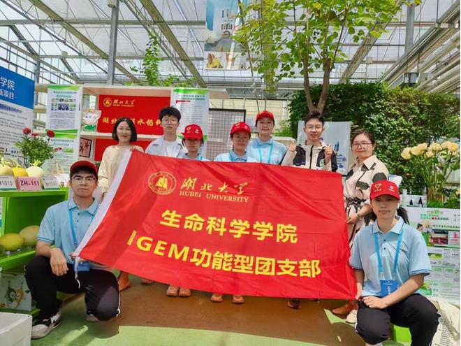 青年大学生科技创新展台首现2024武汉种业博览会(图2)
