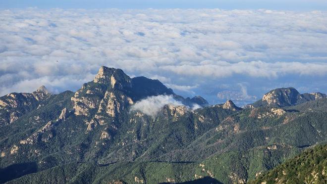 泰安市文旅局2024年成绩单：文旅资源开发与产业发展双赢